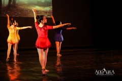 01 Entrada (7)
