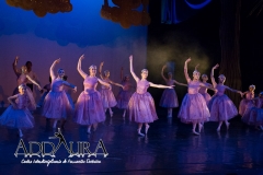 10 Bella Durmiente (11)