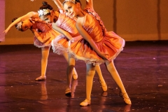 16 Rapunzel (1)