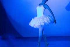20 Cisne (1)