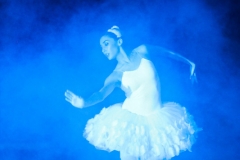 20 Cisne (2)