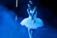 20 Cisne (3)
